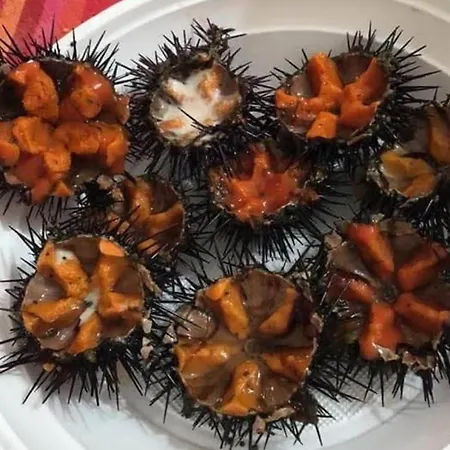 Casa Di Edo Alojamento de Acomodação e Pequeno-almoço *